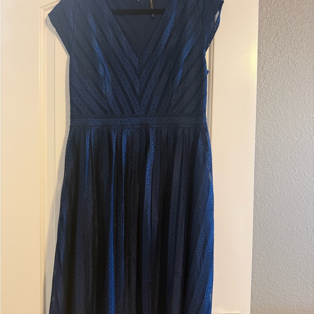 Elegant Navy Blue Lace Dress